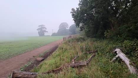 panning across the edge of freshly harvested misty autumn farmland with silhouetted woodland trees along the skyline