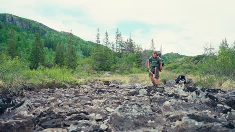 a man and his dog are walking across the craggy terrain between imefjelsvatnet and gurben in indre fosen, trøndelag, norway - static shot