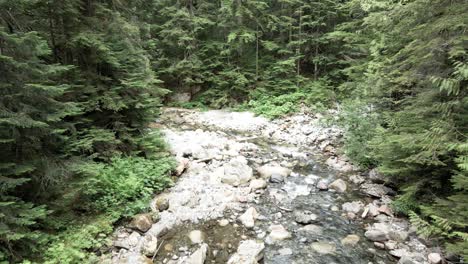 Langsam-Einem-Mit-Felsen-übersäten-Gebirgsbach-Zwischen-üppig-Grünen-Immergrünen-Bäumen-Folgend,-Aus-Der-Luft