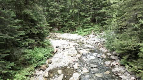 slowly following a rock strewn mountain creek between lush green evergreen trees, aerial