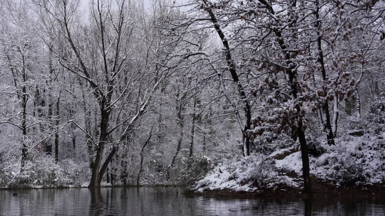 árvores da floresta cobertas de neve branca ao redor do lago com água fria no inverno