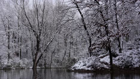 árboles-Forestales-Cubiertos-De-Nieve-Blanca-Que-Rodean-El-Lago-Con-Agua-Fría-En-Invierno