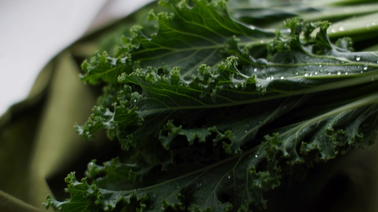 Tightly cropped low-angle view of dark green kale leaves entering horizontal frame, showing curled ruffled margins, pronounced veins, and scattered water droplets that catch soft highlights