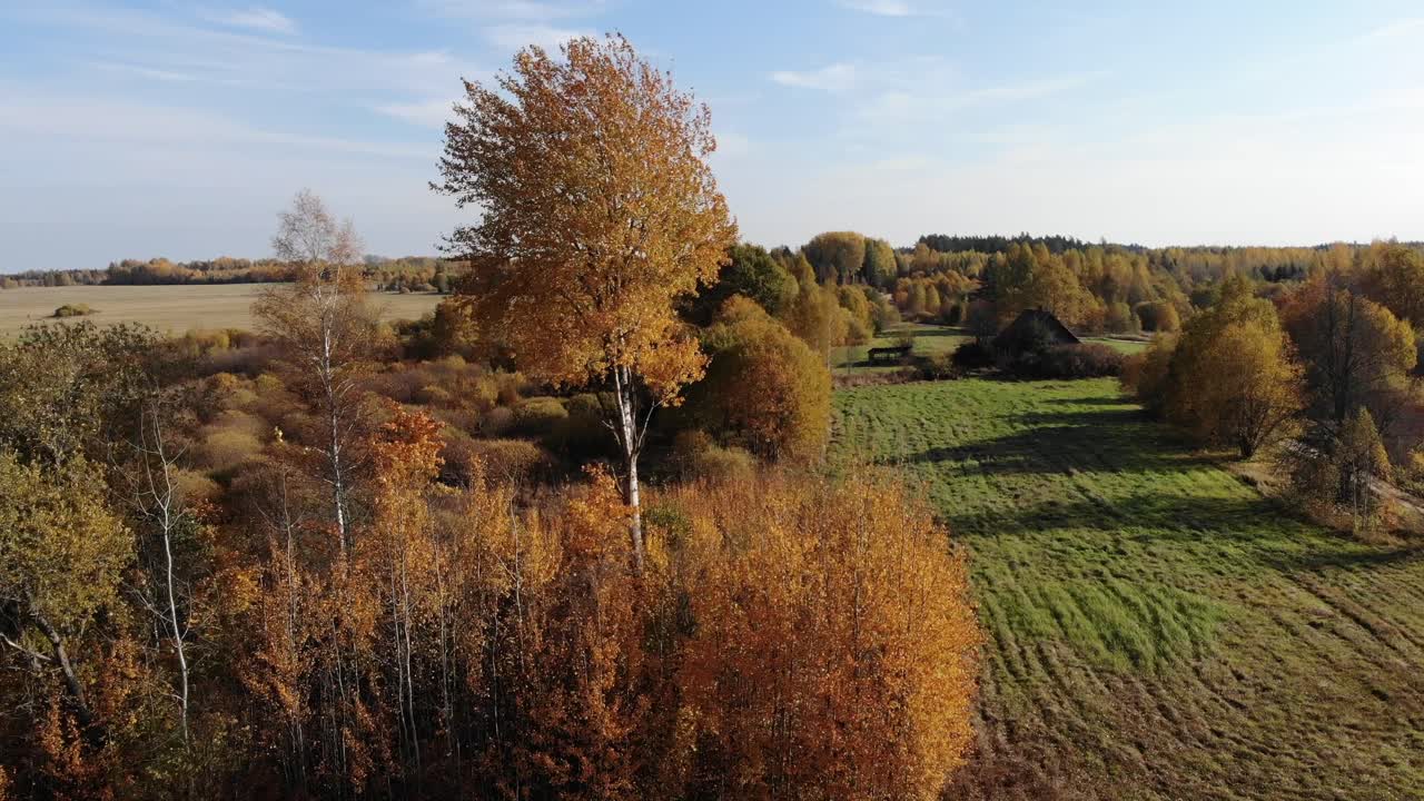 황금빛 가을 시즌