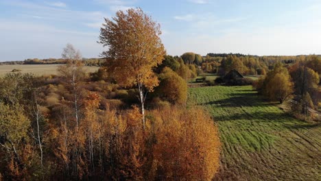 golden autumn season