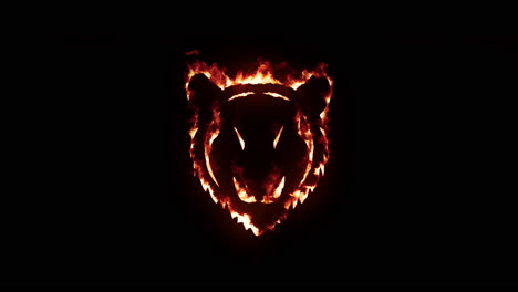 tiger head with fire and burning effect on black background