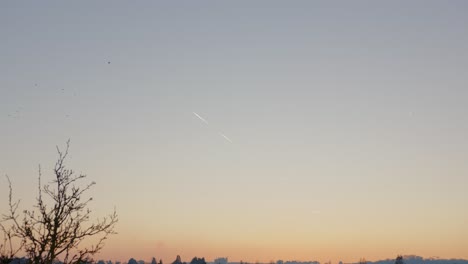 Birds-Silhouette-Flying-In-Sunset-Sky---Low-Angle