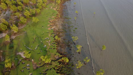 Drone-shot-of-Sea-Waves-crashing-on-the-green-sandy-shore-at-a-nice-afternoon