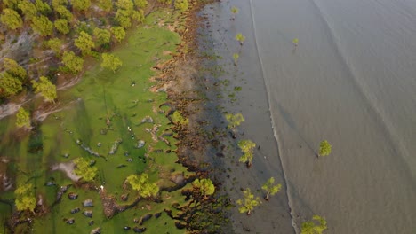 drone shot of sea waves crashing on the green sandy shore at a nice afternoon