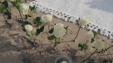 delicate white roses in soft sand beside decorative beach blanket