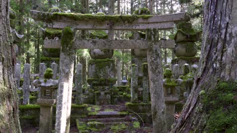 slow motion push in view over stone torii gate in mysterious japanese forest