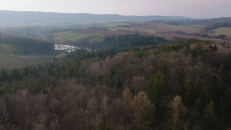 Aerial-view-of-trees-in-spring