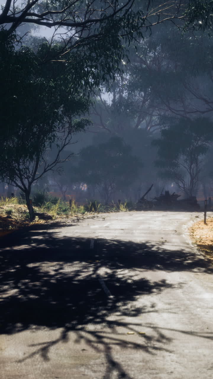 Lone winding road through an enchanting forest under soft morning light