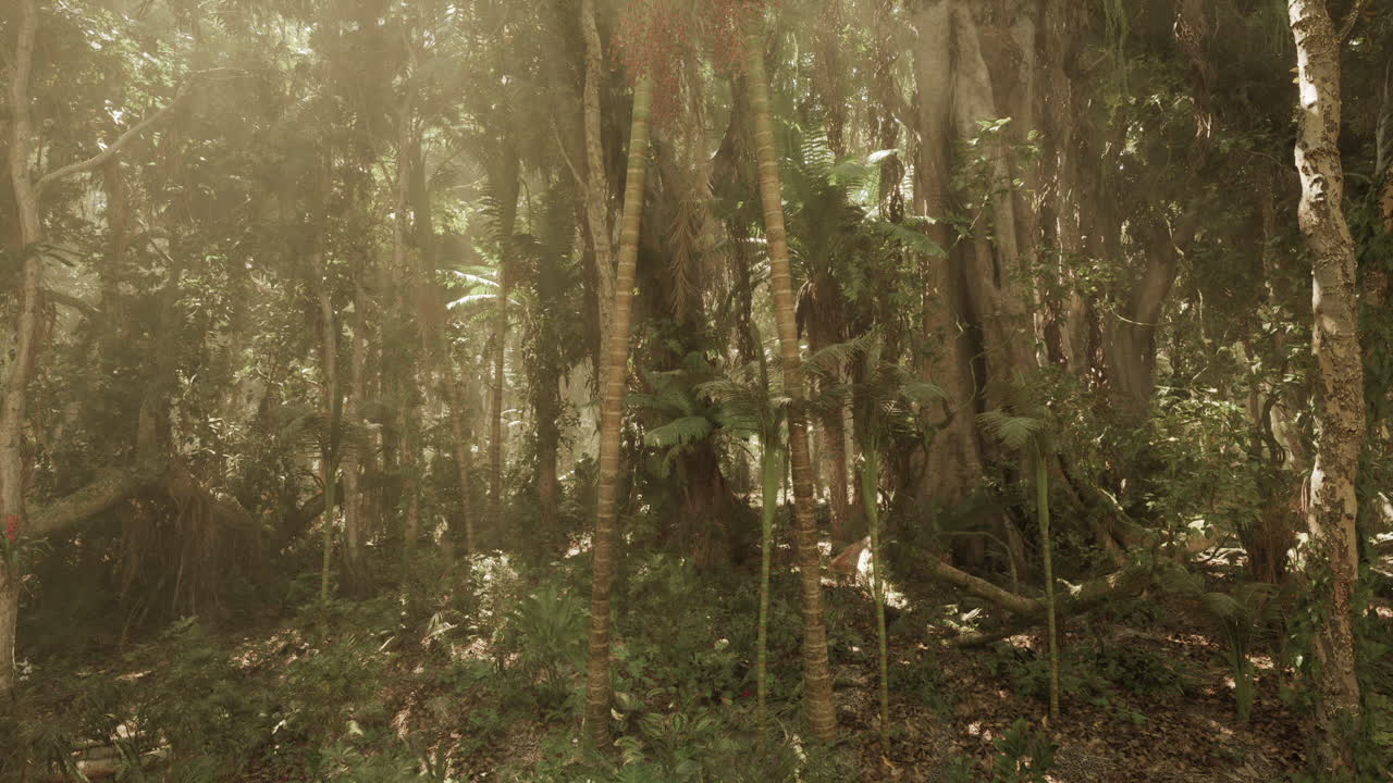 selva tropical densa con la luz del sol brillando a través de las hojas