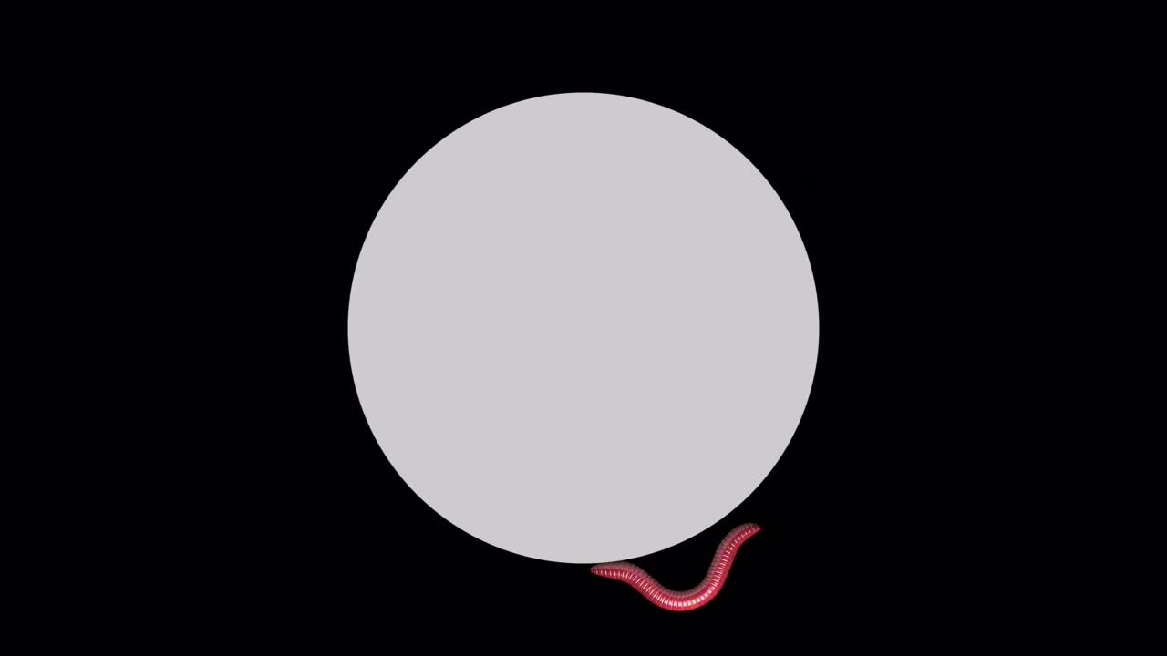 gusano en el círculo gris, bucle de animación 3d