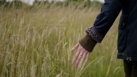 slow motion dolly in young girl hand touching organic wheat field