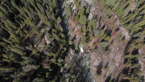 aerial: rugged creek cuts canyon through rocky mountain forest