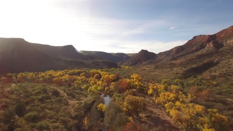 Sobrevuelo-Aéreo-El-Colorido-Follaje-De-Otoño-Que-Sigue-El-Arroyo-En-Sycamore-Canyon,-Norte-De-Arizona