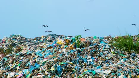 Flock-of-Eagles-Birds-Flying-At-Landfill-Garbage,-Environmental-Impact,-Pollution