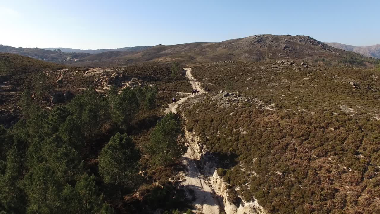 Aventureros en las Montañas con Caballos