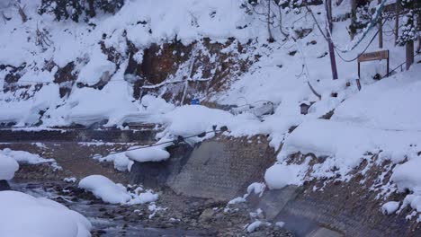 vale de jigokudani e parque de macacos estabelecendo tiro, montanhas do japão