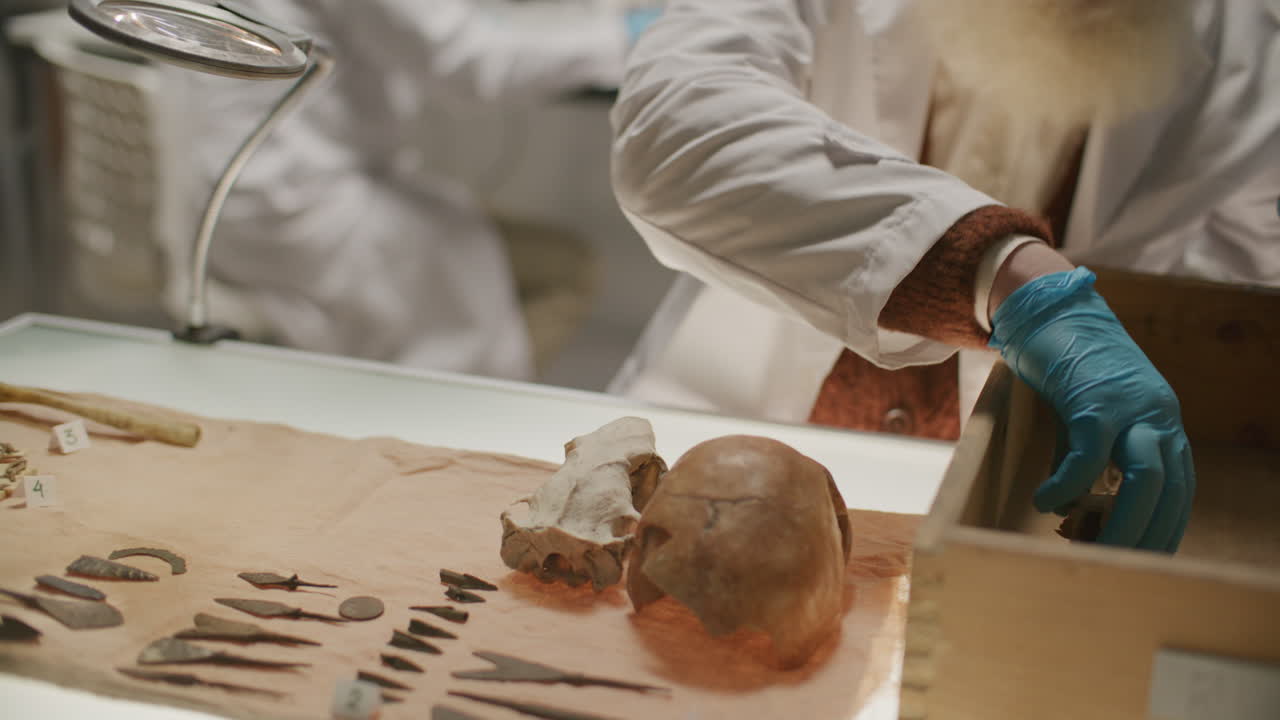 Elderly Scientist Placing Ancient Bones on Research Table in Laboratory