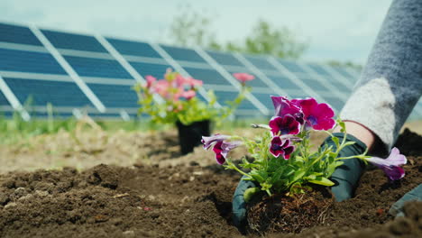 a woman plants flowers in her garden in the background of a home solar power plant