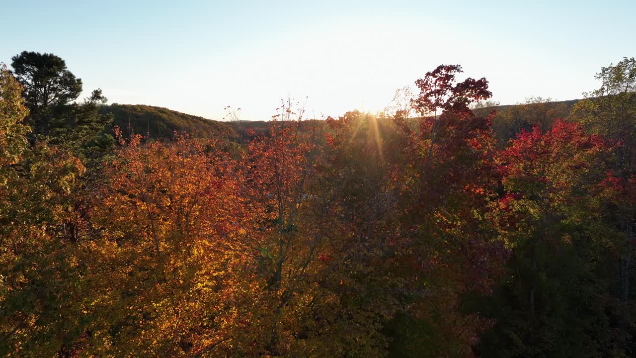 Sun rays behind mountain peak shining on colored leaves of trees in fall season. American suburb forest woodland in USA. Peaceful and serene nature atmosphere