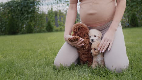 pregnant woman playing with puppies on the lawn near her house