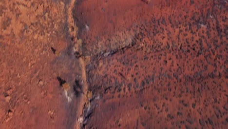 Drone-Aéreo-De-Arriba-Hacia-Abajo-Sobre-El-Vasto-Desierto-Australiano-Después-De-Un-Incendio-Forestal