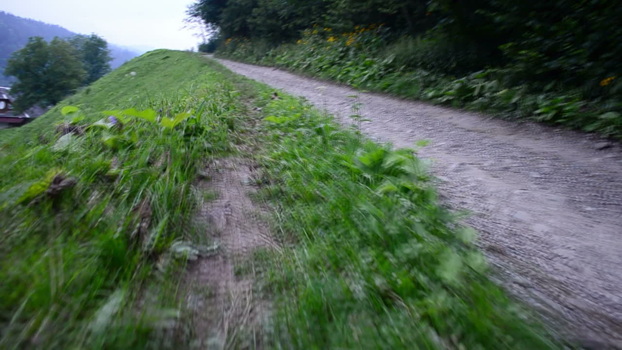 Vejen i bjergene. Slowmotion. Græs i bjergene