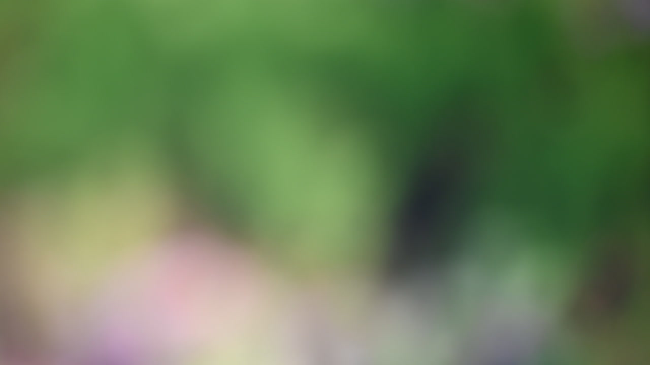 Abstract blurred background with green and gray tones