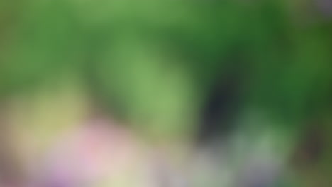abstract blurred background with green and gray tones