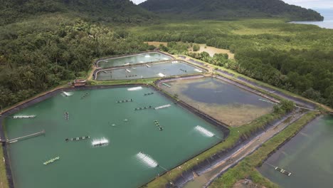 Aerial-dolly-tilt-down-drone-shot-of-industrial-shrimp-farm-on-the-edge-of-a-national-park-on-Koh-Chang-Thailand