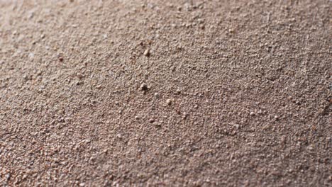 Video-of-close-up-of-sand-grains-with-copy-space-background