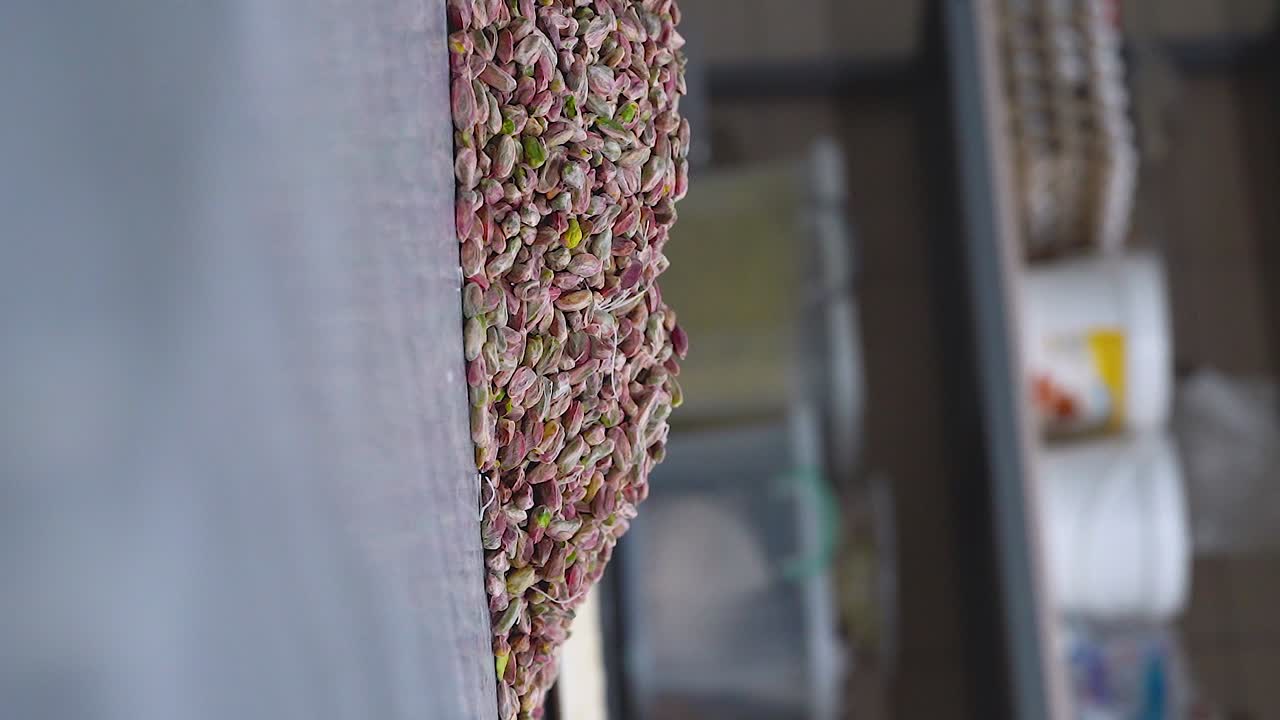 el chef de pastelería oriental toma un puñado de pistachos, video vertical