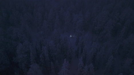 a skier climbing in the middle of a snowy forest in the dark with the only source of light being a headlamp