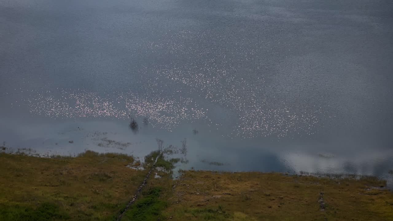 Calm and contemplative aerial drone shot over Calles Dam in San José de Gracia, Aguascalientes, Mexico. The footage highlights the serene landscape and reflective waters of this Magic Town