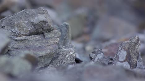 pile of rocks close-up