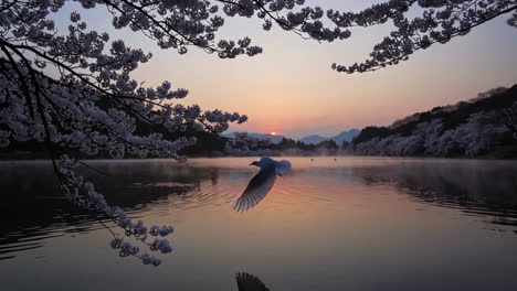 sunrise over a lake with cherry blossoms and birds