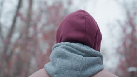 close-up rear view of person wearing maroon and gray hooded jacket walking outdoors, blurred background features soft-focus red berries and bare trees