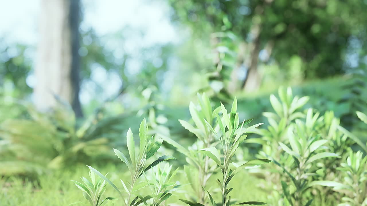 도시 의 초록색 잔디 ⁇  과 함께 공원 의 경치 좋은 전망