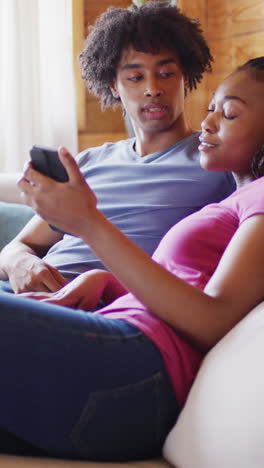 vertical video of african american couple sitting on sofa and using smartphone in log cabin
