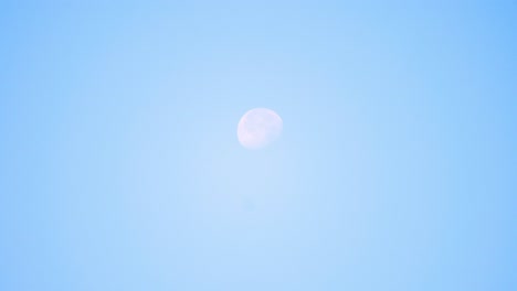 달은 낮 한낮에 밝은 파란 하늘을 배경으로 명확하게 빛나는 것을 볼 수 있으며, 평온하고 조용한 장면을 만니다.