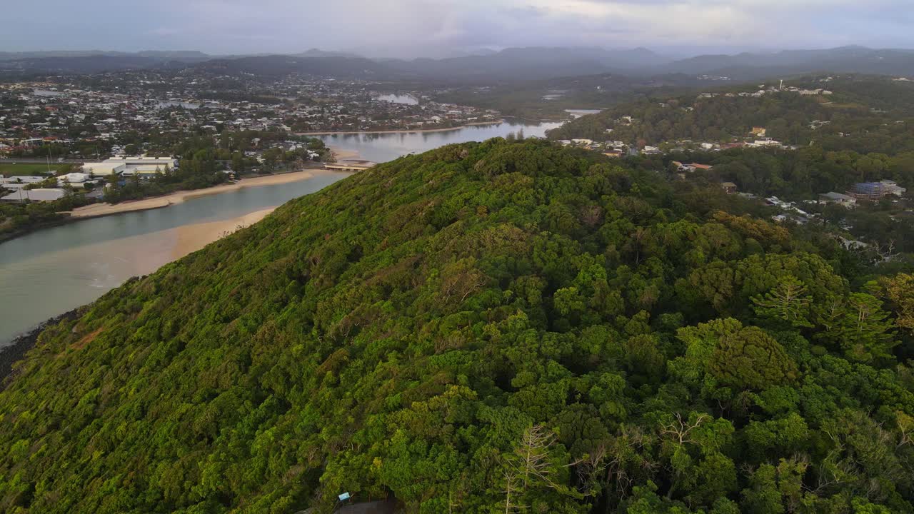 árboles densos en la selva tropical del parque nacional burleigh head - promontorio y arroyo tallebudgera en qld, australia