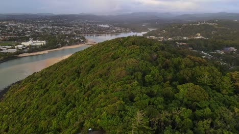 澳洲qld的burleigh head國家公園和tallebudgera溪的茂密雨林