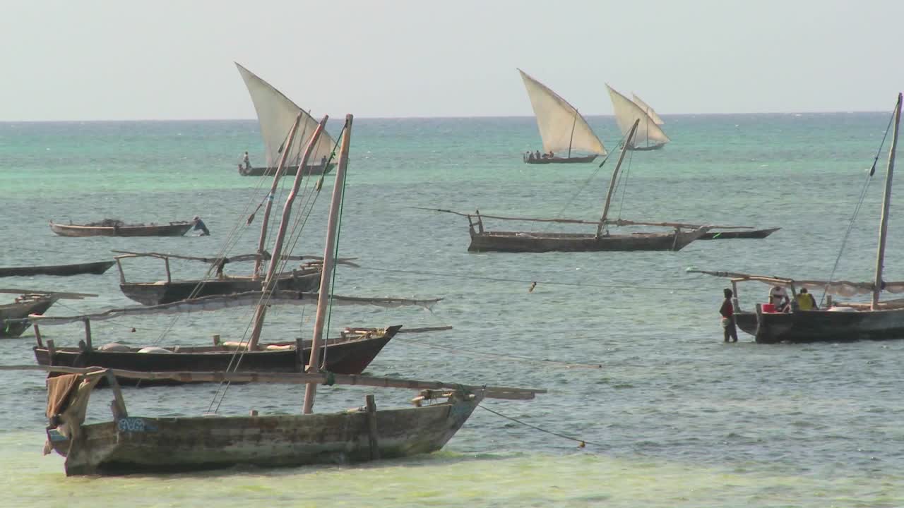 다우 범선은 잔지바르 해안에서 낚시를 하러 나갑니다.