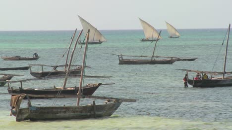 Dhau-Segelboote-Machen-Sich-Auf-Den-Weg,-Um-Vor-Der-Küste-Von-Sansibar-Zu-Fischen