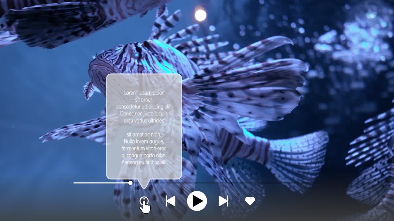 Diverse Marine Life Swimming in a Vibrant Aquarium