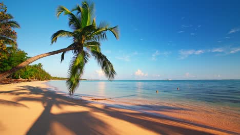 árbol de palma y hermosa playa de la isla tropical, sin problemas nunca termina las imágenes. bucle de video 4k. vista del amanecer del océano.